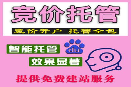 百度竞价广告的创意与执行：成功案例剖析